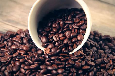 Coffee grown in the hills of chikmagalur is roasted using traditional italian techniques to produce exquisite gourmet coffees assured to elevate the senses. The Best Way to Keep Coffee Beans Fresh - Craft Coffee Guru