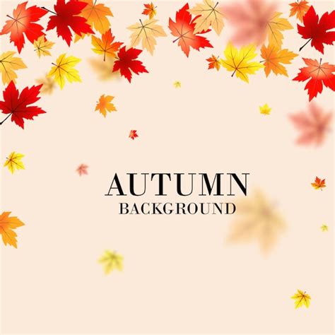 Free Vector Cartoon Autumn Leaves Background