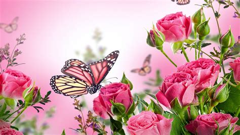 Pink Butterfly Wallpaper Hd 2020 Live Wallpaper Hd