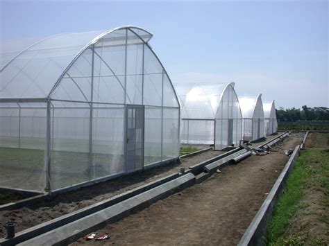 Rumah ini lumayan kecil kotak persegi namun dengan 3 lantai denah rumah type 21. Perusahaan Greenhouse Rumah kaca: March 2012
