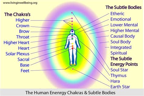 Pranic Healing Energy Healing Chakras Living In Well Being