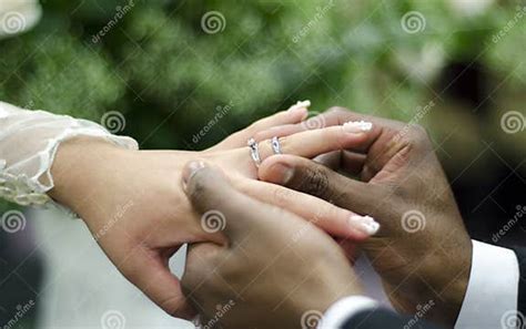 Wedding Rings On Interracial Couple Stock Image Image Of Marriage Bride 152965825