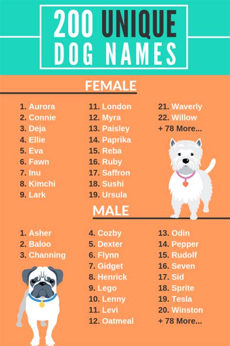 200 Unique Dog Names Male And Female Help Your Dog