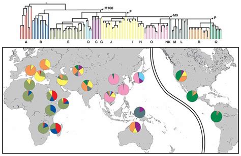 Geographic Patterns Of Y Chromosome Haplogroups According To Recently Download Scientific