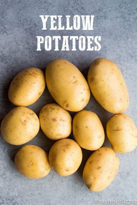 Which type of potato will you decide to prepare for your favorite holiday dish? Which potatoes to use for what! White and yellow are more ...