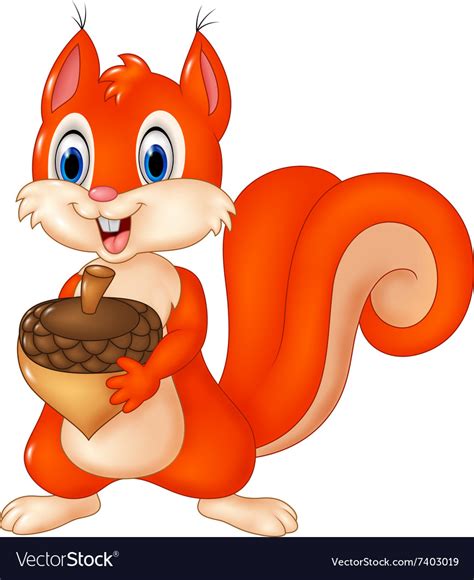 Cartoon Funny Squirrel Holding Acorn Isolated Vector Image