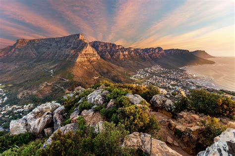7 Best Things To Do In Cape Town South Africa Road Affair