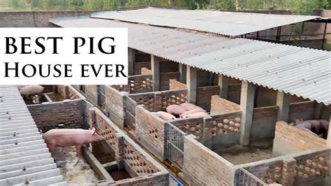 You Will Love This Style Of Modern Pig House Building Modern Pig