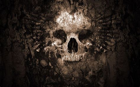 Download Hd Skull Wallpaper By Joshuaanderson Skull Desktop