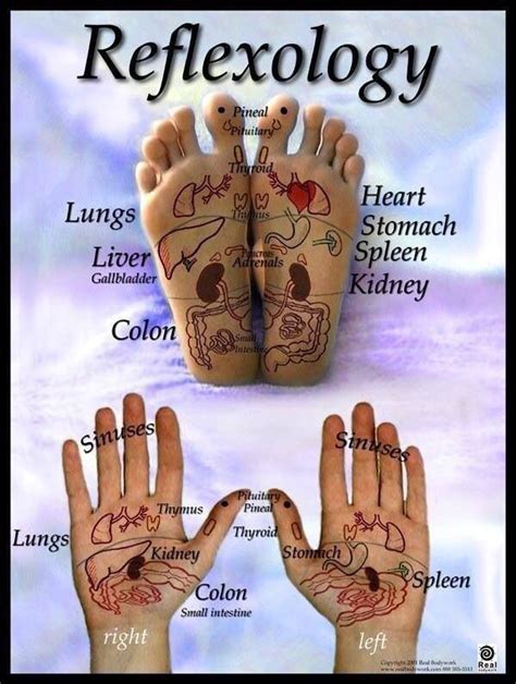 Reflexology Reflexology Massage Reflexology Chart