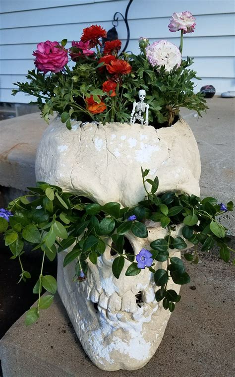Tonight welcomes the arrival of 3 brand new mask packs: Skull container garden | Skull planter, Creepy home decor ...