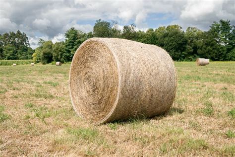 Round Bales Of Hay Harvested In A Field Stock Image Image Of Blue