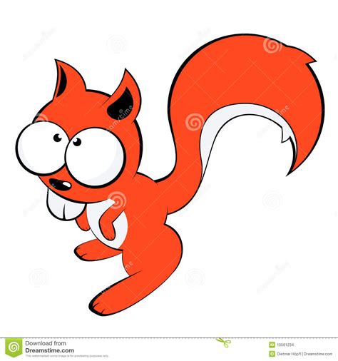 Funny Squirrel Stock Images Image 10561234