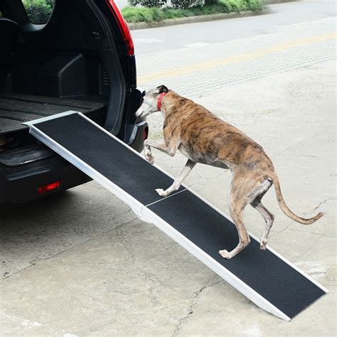 10 Best Lightweight Dog Ramps For Easy Access And Ultimate Comfort In