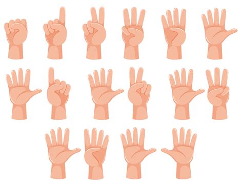 Numbers In Hand Sign Language Isolated On White Vector Image My Xxx