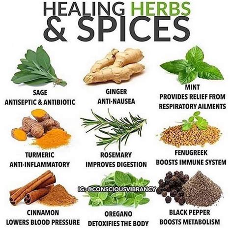 Instagram Healing Herbs Herbs Herbs Spices