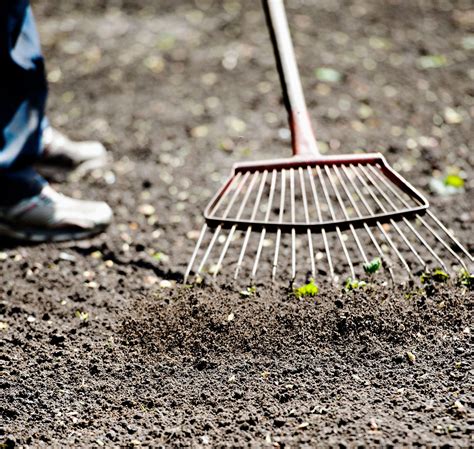 How To Plant Grass Seed The Best Ways To Sow And Grow A Lawn Fast