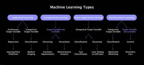 Machine Learning Algorithms A Beginner S Comprehensive Guide