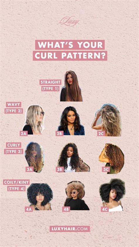 Curl Types Types Of Curly Hair Chart Luxy Hair Hair Chart