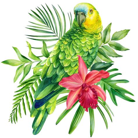 Poster Green Parrot With Flower And Leaves On Isolated White Background