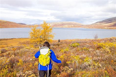 17 Things You Need To Experience In Norway In Autumn Heart My Backpack