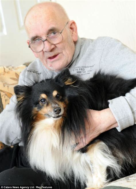 Real Life Lassie Dog Saves Pensioners Life After He Hears Dementia