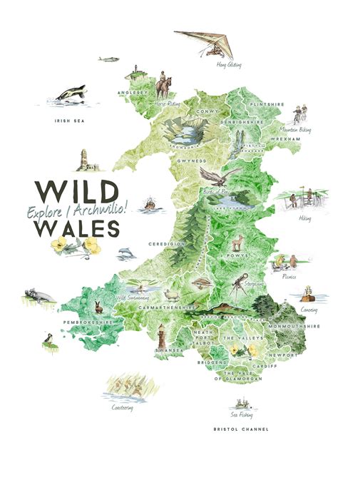 Wild Wales Illustrated Map On Behance Illustrated Map Wales Map