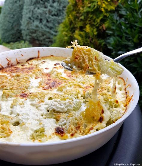 Gratin de cardons léger original et délicieux Recette