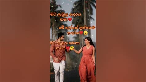 Sinhala Wadan Adara Wadan Hithata Danena Wadan Whatsap Status