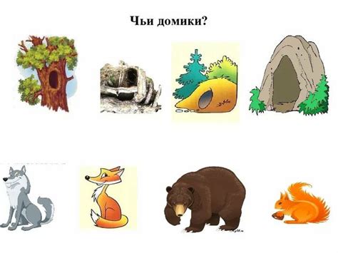 Картинки Чем Питается Медведь Для Детей Telegraph