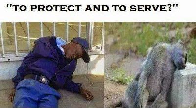 We can't talk about coronavirus hilarity without talking. Where to now for the legal profession in South Africa ...