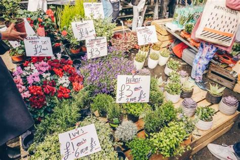 Columbia Road Flower Market An Insiders Guide — London X London