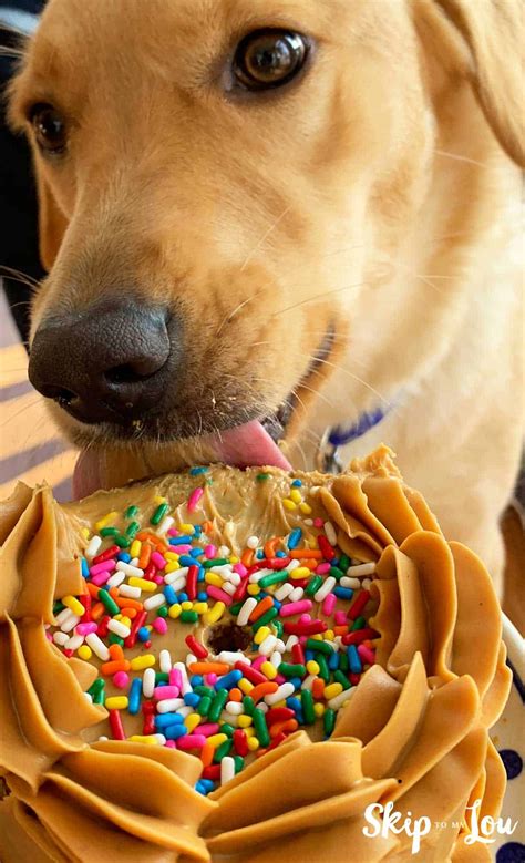 Top 15 Most Popular Dog Birthday Cake Healthy Recipe Collections