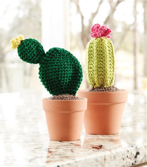 1922 cactus pot 3d models. Make Crochet Cacti | JOANN