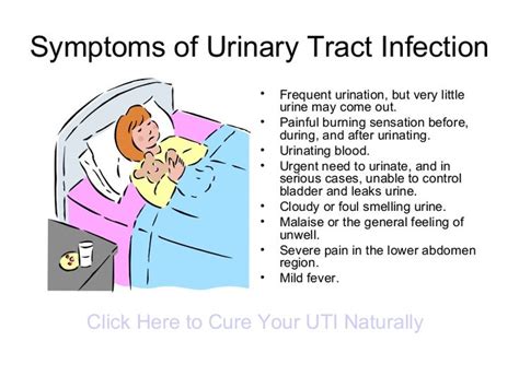 Urinary Tract Infections A Collection Of Ideas To Try About Health And