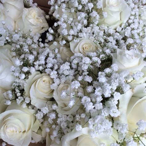 White Roses And Babys Breath Bouquet Babys Breath Bouquet White