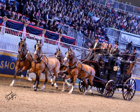 Toronto Saddles Up For Annual Royal Agricultural Winter Fair