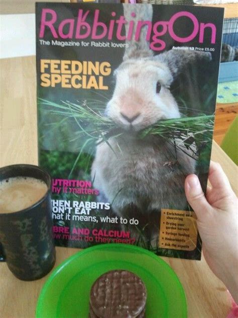 My 3 Favorite Things Rabbiting On Coffee And Biscuits He He