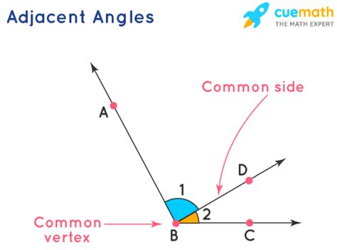 Adjacent Angles Definition Meaning Properties Examples