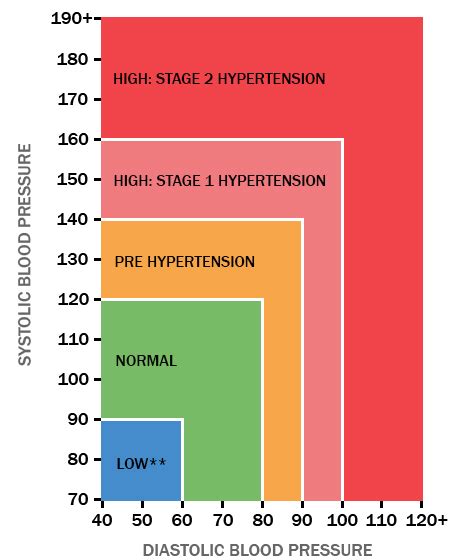 Blood Pressure Chart By Age And Height And Weight Vseraim