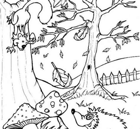 Enchanted Forest Coloring Pages Printable At Getdrawings Free Download