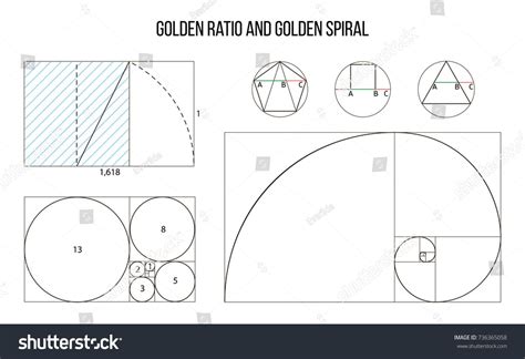 golden ratio template vector divine proportions golden proportion