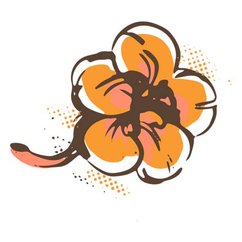 Design Png E Svg De Flor De Laranjeira Havaiana Para Camisetas