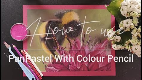How To Draw With Panpastel And Colour Pencil Easy Tips And Tricks