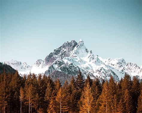 Mountain Trees Forest Peak Snowy Cloudless Sky Hd Wallpaper Peakpx