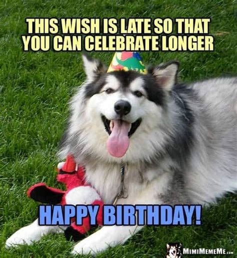 100 Happy Birthday Dog Memes