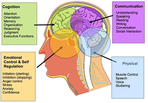 Cognitive Communication Neuro Rehab Group