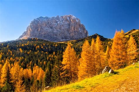 Autumn Scenery In Dolomite Alps With Beautiful Yellow Larch Trees And