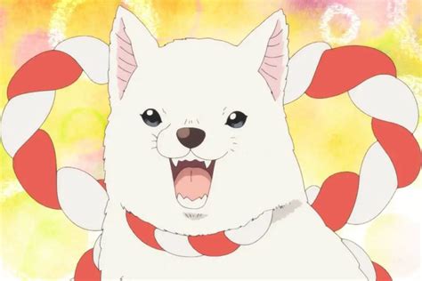 Top 50 Best Anime Dogs Most Popular Of All Time Shutocon