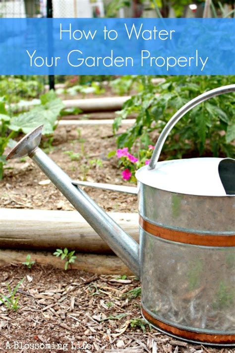 How To Water Your Garden Properly It Can Be Really Tricky To Figure